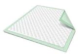 McKesson StayDry Regular Underpads, 23x36