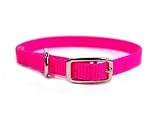 Hamilton Single Thck Nyln Dlx Dg Collar Hot Pink 3 8 X12 - STE