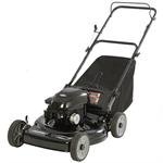 Murray Push Mower Briggs & Stratton 5.5 TP (22) #7800202