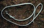 White Pine 1/4" x 48" Leather Show Lead Snap - Choclate Brown