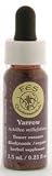 Flower Essence Services (FES) - Yarrow - FES Quintessentials Flower Essences 1/4 oz.