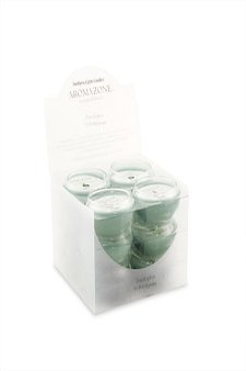 Eucalyptus & Pettitgrain by Aromazone for Unisex - 12 Pc Floaters
