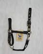 Hamilton Deluxe 1" Nylon Horse Halter with Adjustable Chin and Snap, Black, Large (1100-1600 lbs)