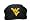 West Virginia Mountaineers