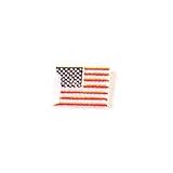 USA Pin