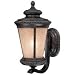 14-1/2-Inch Outdoor Wall Light