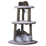 Cat Mountain