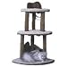 Cat Mountain