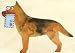 German Shepherd 3D Multi Purpose Card