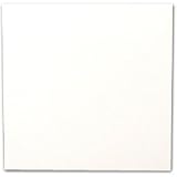 100 Fluorescent White 96lb. Square Baronial Cards