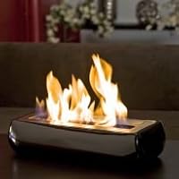 Avani Portable Bio Ethanol Fireplace Finish: Black