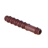 Tools & Hardware : Cut-Off Flex Riser, 1/2" x 6"