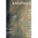 The Absolute Sandman, Vol. 4