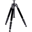 4-SECTION Carbon Fiber Tripod Leg Assembly