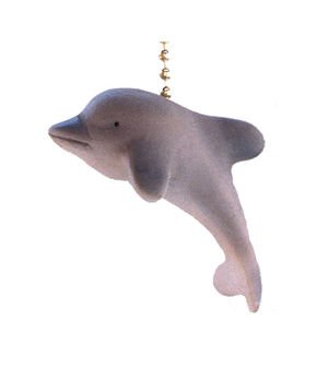Tropical Dolphin Porpoise Ocean Light Pull