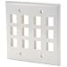 Wired Home KWGJ9 Keystone Wall Plate Double Gang 12-Port Wht