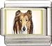 Jewelry : Clearly Charming Collie Italian Charm
