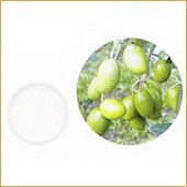 【生活の木】オリーブスクワラン 25ml
