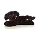Aurora Plush Cole the 12-Inch Black Lab