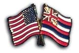 Hawaii - State Friendship Pin