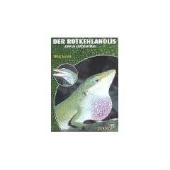 Der Rotkehlanolis: Anolis carolinensis