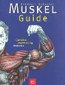 Muskel- Guide. Gezieltes Krafttraining. Anatomie.