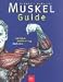 Muskel- Guide. Gezieltes Krafttraining. Anatomie.