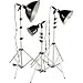 3-Light Economy Lighting Kit