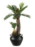 12 Inch Artificial Cycas Palm In Pot - B000MZUZ0I