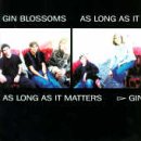 Gin Blossoms - As Long As It Matters