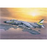 Airfix - Bae Sea Harrier FRS-1 Scale 1:48