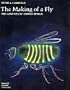 The Making of a Fly: The Genetics of Animal Design