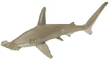 Monterey Bay Aquarium - Hammerhead Shark