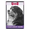Bernese Mountain Dog 16 x 24 Personalized Name Only Golf Towel - Black/White