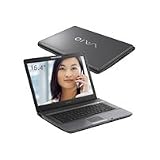 Electronics : VAIO FE31H C2D/T5500-1.66Gz