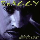 Midnite Lover [US-Import] [Vinyl LP] - Shaggy
