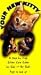 Your New Kitty [VHS]