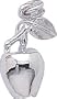 Rembrandt Charms Apple Charm