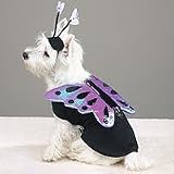 X-SMALL - Flutter Pup Butterfly Halloween Costume