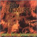 Bud Fire Blazing [Vinyl]