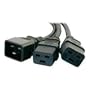 Cables to Go 29819 1 to 2 16 AWG Power Splitter (6 Feet, Black)