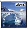 Celexon Leinwand Rollo Economy 160 x 160 cm