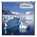 Celexon Leinwand Rollo Economy 180 x 180 cm
