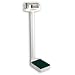 Detecto 337S Eye Level Physician Mechanical Beam Scale-Stainless Steel