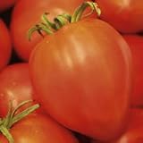 Organic Amish Paste Tomato Plant - ORDER NOW ! - B001LQTTKO