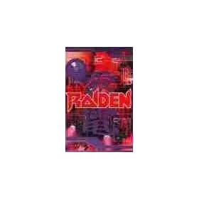 Raiden (PC Computer Game)