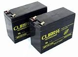 12 Volt 10 Amp Electric Scooter Batteries (Set of 2) - Currie Tech