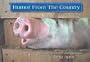 Humor from the Country (Rural Life)