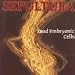 2422-Dead Embryonic Cell