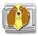 cocker_spaniel24cocker spaniel - Clearly Charming Cocker Spaniel Dog Breed Canine Collection